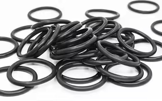 1095885 Cilalı Tribo Gen II Toz Boya Pompası O-Ringleri Özel OEM Desteği